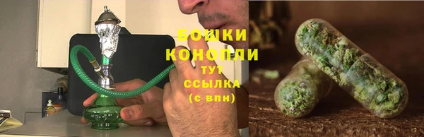 шишки Белоозёрский
