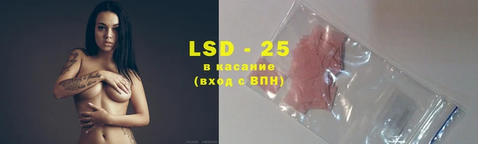 шишки Белоозёрский