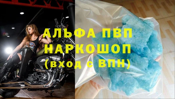 шишки Белоозёрский