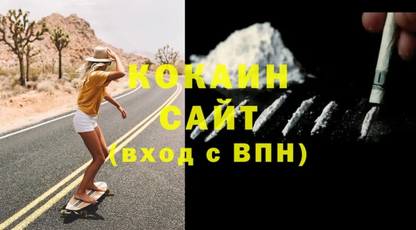 шишки Белоозёрский