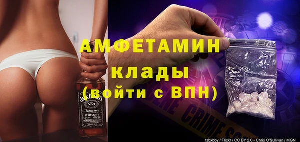шишки Белоозёрский