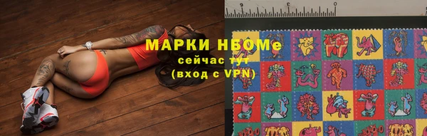 шишки Белоозёрский